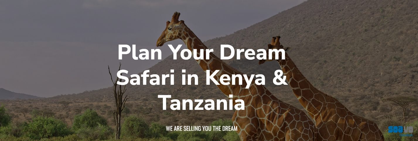 Explore Kenya’s Wildlife with Bigzone Safaris Africa Limited – Mombasa Safari Packages
