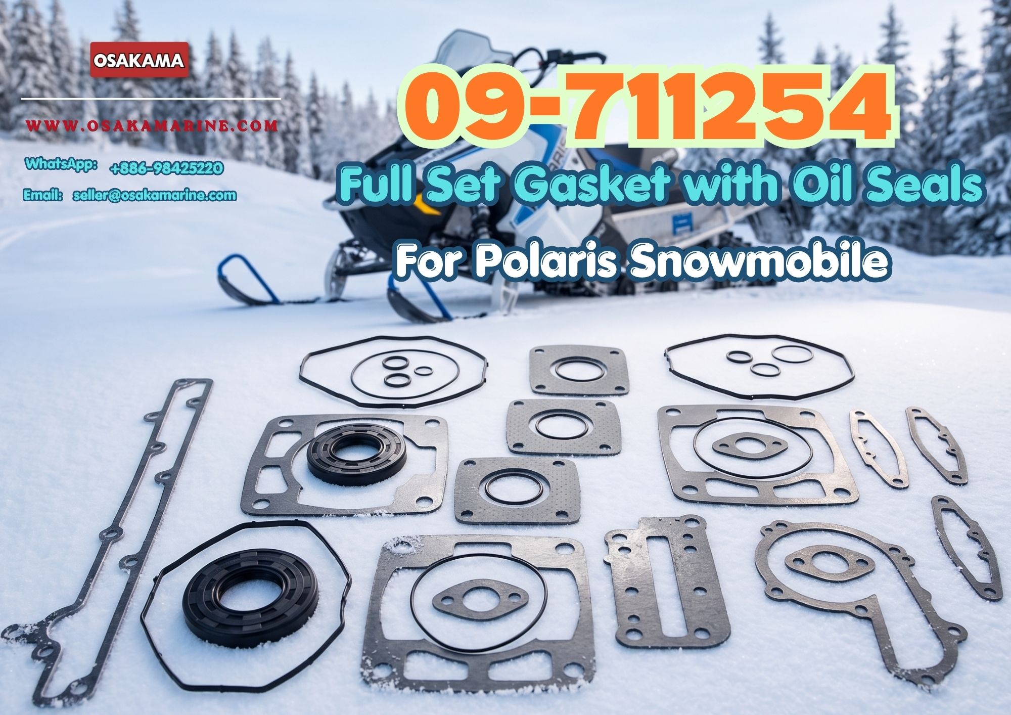 09-711254 Full Set Gasket with Oil Seals for Polaris Snowmobile